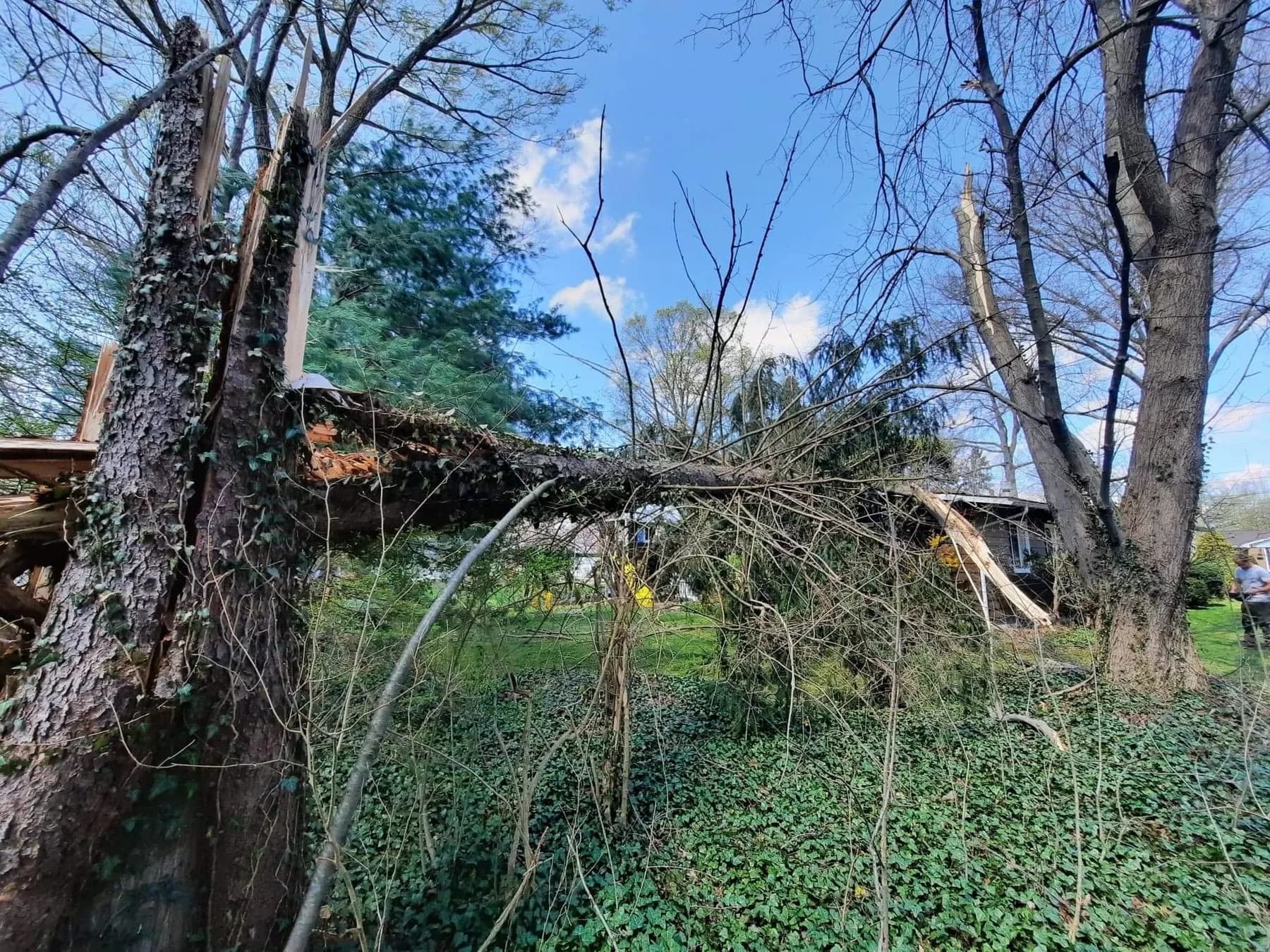 24/7 Emergency Tree Removal by Ghost Tree Service in Medina County, Ohio