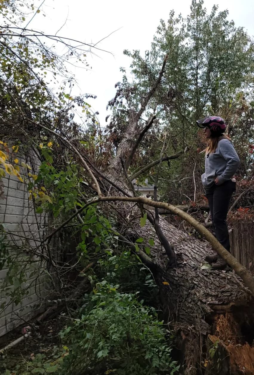 Storm Damage Cleanup by Ghost Tree Service in Medina County, Ohio